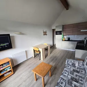 Appartement L'alp'oz France